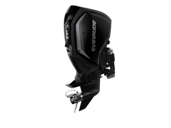 2021-Evinrude-C175GLF-Outboard-Motors-600x450-1.jpg