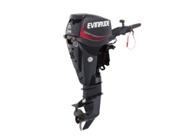 Evinrude-E25DGTL-1-600x450-1.jpg