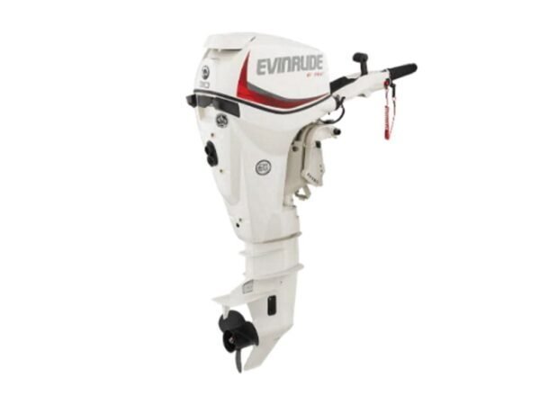 Evinrude-E30DRS-1-600x450-1.jpg