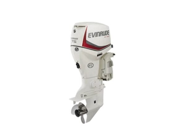 Evinrude-E75DSL-1-600x450-1.jpg