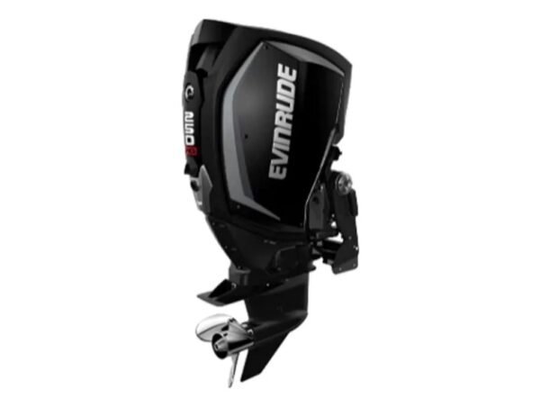 Evinrude-H250HGLF-250HO-Outboard-Motor-1-600x452-1.jpg