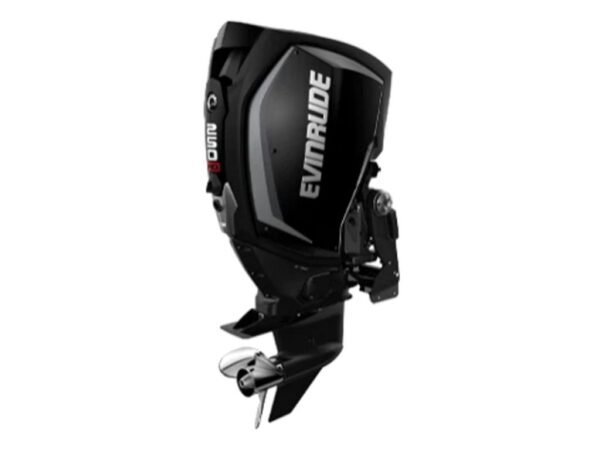 Evinrude-H250HGXC-250HO-Outboard-Motor-600x450-1.jpg