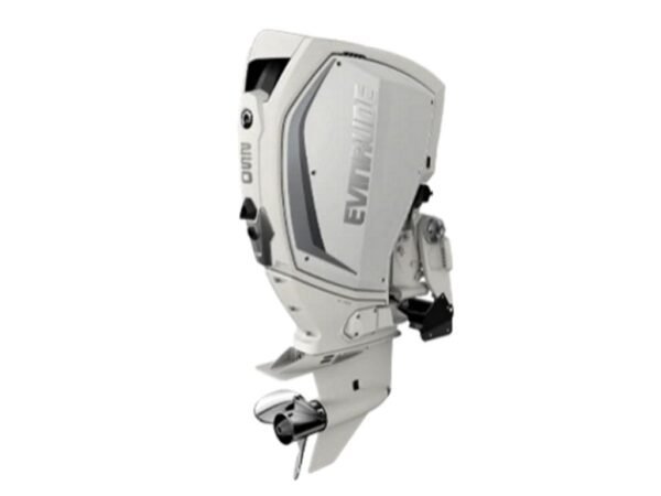 Evinrude-H250WXC-250HP-Outboard-Motor-600x450-1.jpg